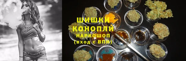 гидра Медвежьегорск