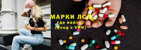 гидра Медвежьегорск