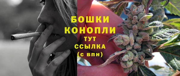 гидра Медвежьегорск