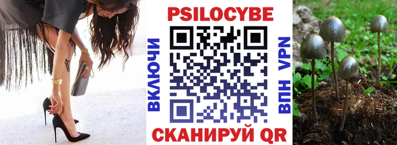 Купить где  Дальнегорск  Псилоцибиновые грибы ЛСД 
